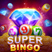 Super Bingo game cover