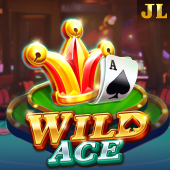 Wild Ace game cover